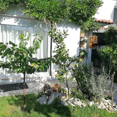 Silver Accommodatie bij particulieren Nazaré