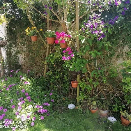 Accommodatie bij particulieren Silver Nazaré