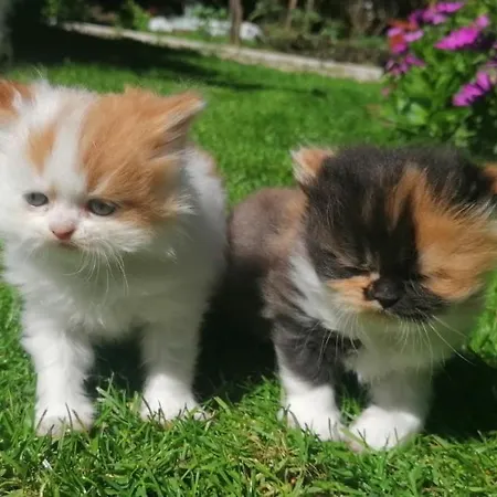 Silver Habitación en casa particular