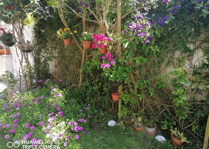 Quarto em Acomodações Particulares Silver Nazaré