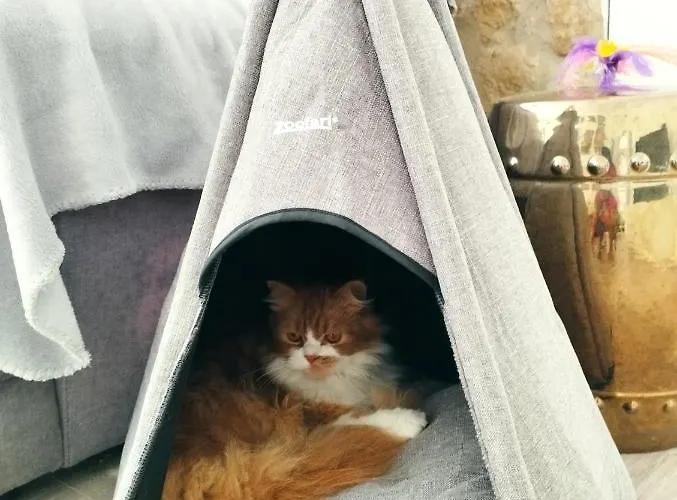 Silver Quarto em Acomodações Particulares *